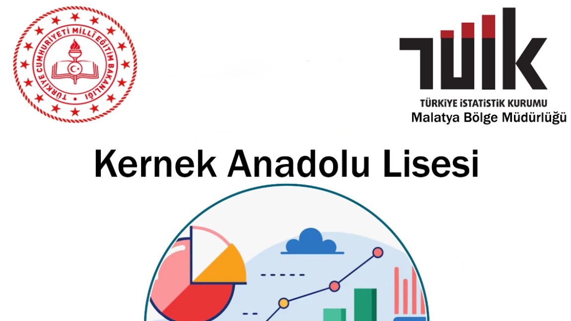 Okulumuzda İstatistiksel Araştırma Süreci